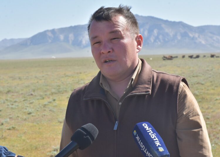 ТҮРКІСТАН: СОЗАҚТЫҚ ШАРУА МЕМЛЕКЕТТІК БАҒДАРЛАМА КӨМЕГІМЕН ҚОЙ БАСЫН КӨБЕЙТІП ОТЫР