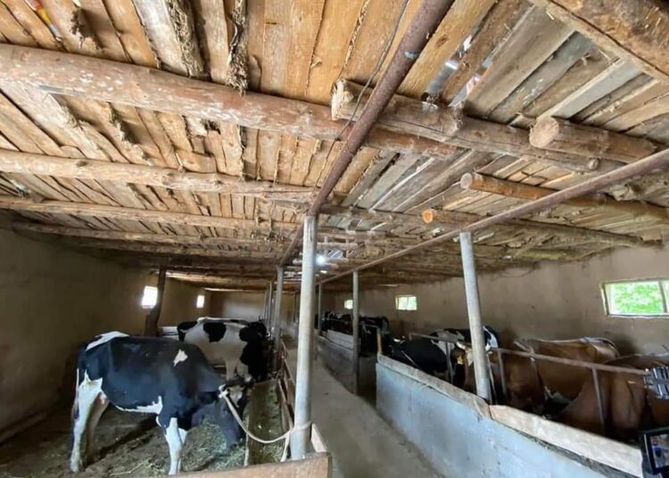 ТҮРКІСТАН: САЙРАМДЫҚТАР «АУЫЛ АМАНАТЫ» ЖОБАСЫМЕН КӘСІБІН ЖАНДАНДЫРА БАСТАДЫ