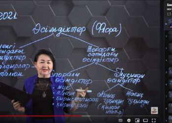 «MEKTEП OnLine» жобасының негізгі міндеті – оқушылардың ойлаған мақсаттарына жету жолында қолдау көрсету