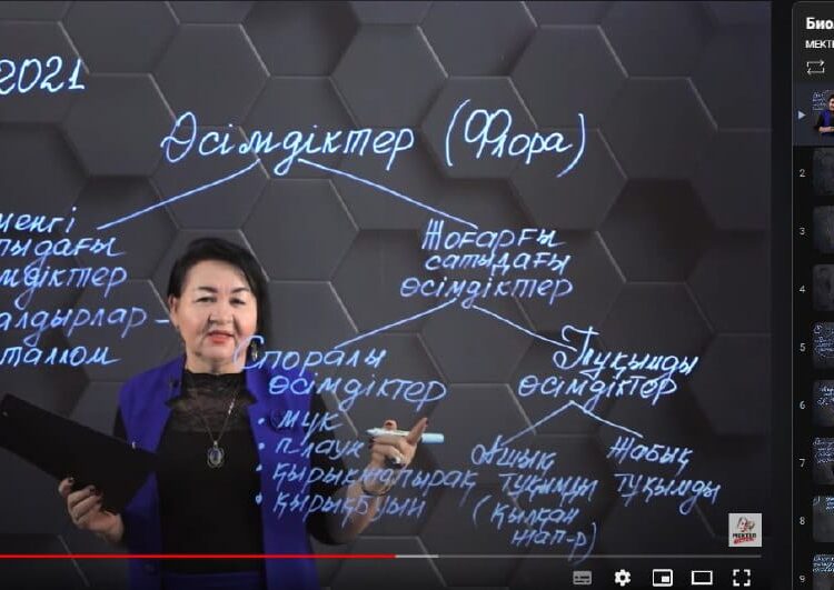 «MEKTEП OnLine» жобасының негізгі міндеті – оқушылардың ойлаған мақсаттарына жету жолында қолдау көрсету