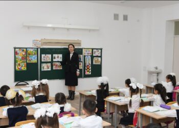 БИЫЛ ТҮРКІСТАН ОБЛЫСЫНЫҢ МЕКТЕПТЕРІ БЕЙНАБАҚЫЛАУМЕН ЖӘНЕ КӘСІБИ КҮЗЕТПЕН ТОЛЫҚ ҚАМТЫЛАДЫ