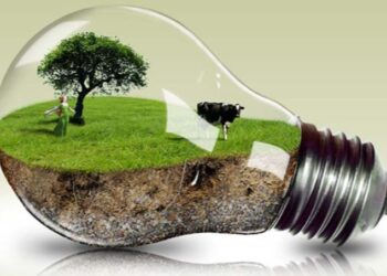 ЖАҒДАЙДЫ «ЖАСЫЛ ЭКОНОМИКА» РЕТТЕЙДІ