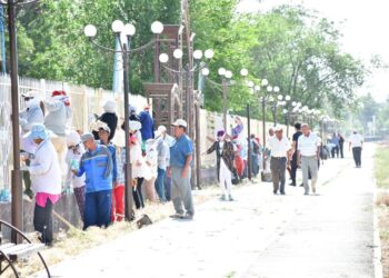 ТҮРКІСТАН: ОРДАБАСЫ АУДАНЫНДА СЕНБІЛІК ҰЙЫМДАСТЫРЫЛДЫ