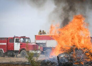 ТҮРКІСТАН: ОРМАН ЖӘНЕ ДАЛА ӨРТТЕРІНІҢ АЛДЫН АЛУ ЖҰМЫСТАРЫ ПЫСЫҚТАЛДЫ