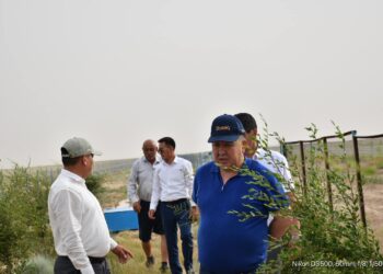 ТҮРКІСТАН: СОЗАҚТА КӨГАЛДАНДЫРУ ЖҰМЫСТАРЫ БАСТЫ НАЗАРДА