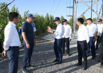 ТҮРКІСТАНДА БЕЛСЕНДІ ДЕМАЛЫС САЯБАҒЫНЫҢ ҚҰРЫЛЫСЫ ЖҮРУДЕ