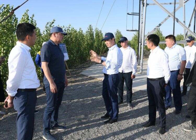 ТҮРКІСТАНДА БЕЛСЕНДІ ДЕМАЛЫС САЯБАҒЫНЫҢ ҚҰРЫЛЫСЫ ЖҮРУДЕ