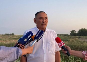 ТҮРКІСТАН: КЕЛЕСТЕГІ ШАРУА ҚОЖАЛЫҚ ЖЫЛЫНА 400 ТОННА БАЛЫҚ ӨНДІРМЕК