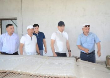 ТҮРКІСТАН: ЖЕТІСАЙДА ШАҒЫН ЦЕХТАР САНЫ АРТЫП КЕЛЕДІ