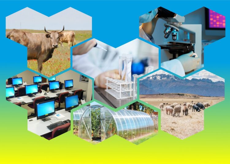 ХАЛЫҚТЫҢ ТАБЫСЫН АРТТЫРУ БАҒДАРЛАМАСЫ ЖҮЙЕЛІ ЖҮЗЕГЕ АСЫП КЕЛЕДІ