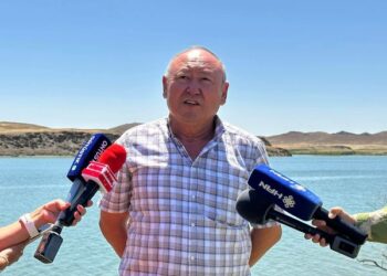 ТҮРКІСТАН: СОЗАҚТАҒЫ ШАРУАШЫЛЫҚ БИЫЛ 180 ТОННА КӨЛЕМІНДЕ БАЛЫҚ ӨНІМІН ШЫҒАРДЫ