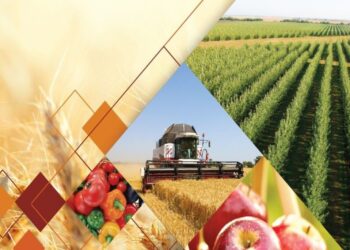 ХАЛЫҚТЫҢ ӘЛ-АУҚАТЫН ЖАҚСАРТУҒА АЙРЫҚША КӨҢІЛ БӨЛІНІП КЕЛЕДІ