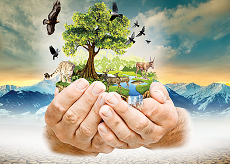 «ЖАСЫЛ ҚАЗАҚСТАН» ҰЛТТЫҚ ЖОБАСЫНЫҢ БАҒЫТТАРЫ ҚАЛАЙ ЖҮЗЕГЕ АСАДЫ?