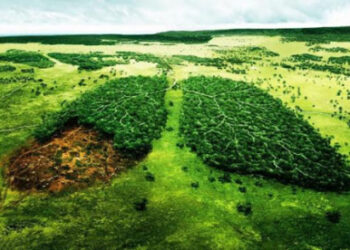 ТҮРКІСТАНДА ҰЛТТЫҚ ЖОБАСЫ СӘТТІ ЖҮЗЕГЕ АСЫРЫЛЫП ЖАТЫР