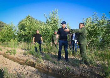 ДАРХАН САТЫБАЛДЫ ТҮРКІСТАН МАҢЫНДАҒЫ ЖАСЫЛ АЛҚАПТЫ АРАЛАП, АТҚАРЫЛҒАН ЖҰМЫСТАРМЕН ТАНЫСТЫ