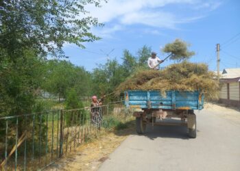 ТАЗАЛЫҚ ЖҰМЫСТАРЫ ЖҮРГІЗІЛДІ