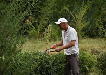 ЖАРТЫТӨБЕ АУЫЛЫНДА КӨРКЕЙТУ, КӨГАЛДАНДЫРУ ШАРАЛАРЫ БОЙЫНША ЖАСАЛҒАН ЖҰМЫСТАРДЫ НАЗАРҒА АЛДЫ