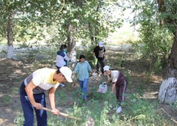 СЕНБІЛІК ЖҰМЫСТАРЫ – ТАЗАЛЫҚ ТАРАЗЫСЫ