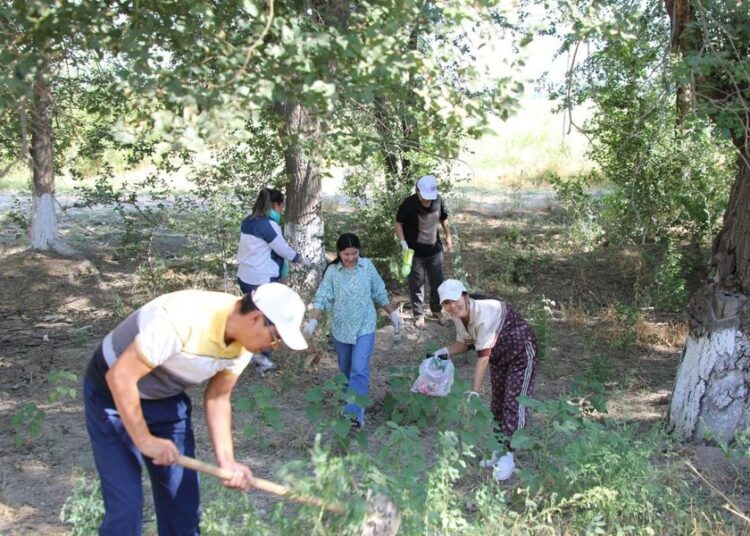СЕНБІЛІК ЖҰМЫСТАРЫ – ТАЗАЛЫҚ ТАРАЗЫСЫ