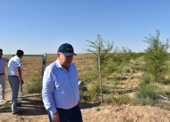 АУДАН БАСШЫСЫ “ЖАСЫЛ БЕЛДЕУ” АУМАҒЫН АРАЛАДЫ