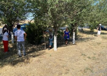 ТАЗА АУЛА — ТАЗА АУДАН!