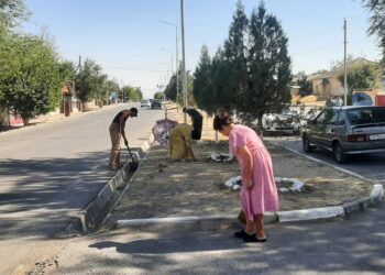 Тазалық – табалдырықтан басталады!