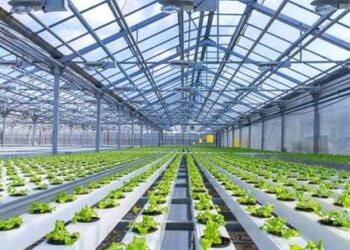 ТҮРКІСТАН: КЕЛЕСТЕ 4 ИНВЕСТИЦИЯЛЫҚ ЖОБАНЫҢ ҚҰРЫЛЫСЫ ҚОЛҒА АЛЫНДЫ