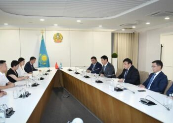 ТҮРКІСТАНДА ҚЫТАЙ ТӘЖІРИБЕСІМЕН БІРНЕШЕ ЗАУЫТ АШЫЛАДЫ