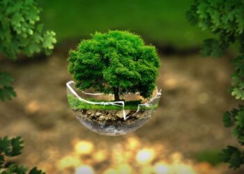 ЭКОЛОГИЯЛЫҚ МӘДЕНИЕТ – ТАБИҒАТТЫ ҚОРҒАУ ҚҰНДЫЛЫҚТАРЫНЫҢ НЕГІЗІ