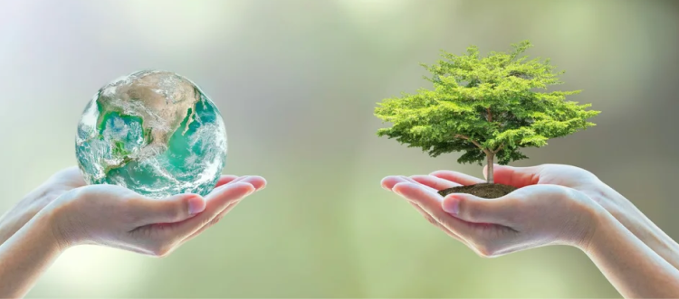 ТАЗАЛЫҚТЫ ӨЗІҢНЕН БАСТА