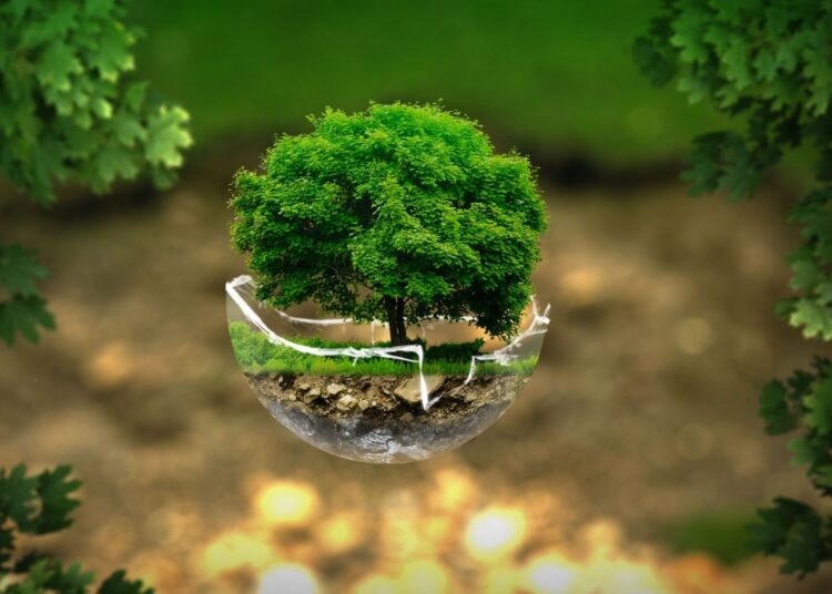 ЭКОЛОГИЯЛЫҚ МӘДЕНИЕТ – ТАБИҒАТТЫ ҚОРҒАУ ҚҰНДЫЛЫҚТАРЫНЫҢ НЕГІЗІ