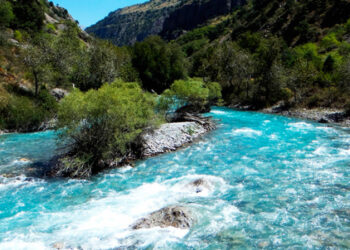 ТАБИҒАТТЫ ҚОРҒАУДЫ  ЖҮЗЕГЕ  АСЫРУДЫҢ  НЕГІЗГІ  БАҒЫТТАРЫ.