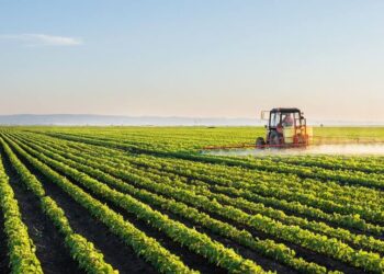 АУЫЛ ШАРУАШЫЛЫҒЫНДА ҚОЛДА БАР МҮМКІНДІКТЕРДІ ТОЛЫҚ ПАЙДАЛАНБАЙ ОТЫРМЫЗ – ПРЕЗИДЕНТ