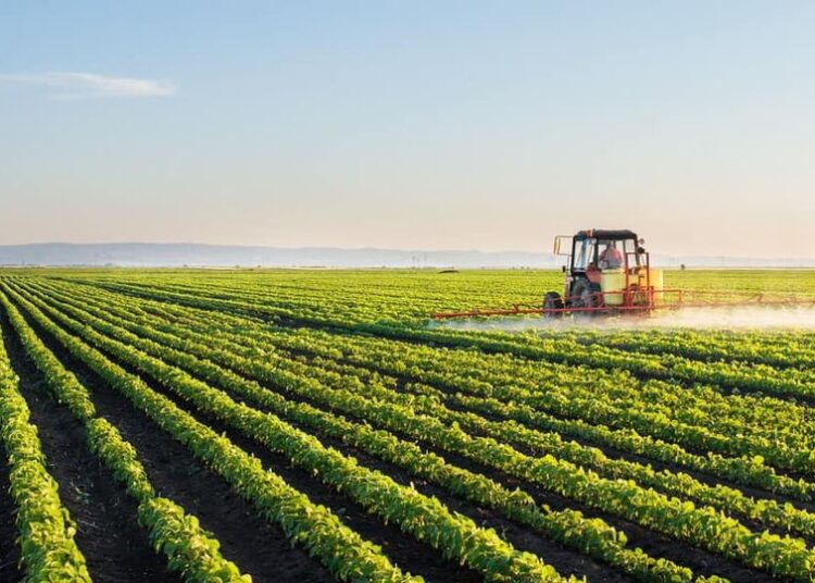 АУЫЛ ШАРУАШЫЛЫҒЫНДА ҚОЛДА БАР МҮМКІНДІКТЕРДІ ТОЛЫҚ ПАЙДАЛАНБАЙ ОТЫРМЫЗ – ПРЕЗИДЕНТ