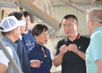 ТҮРКІСТАН: ҚЫТАЙЛЫҚ КОМПАНИЯ ЖЕТІСАЙҒА ИНВЕСТИЦИЯ САЛУҒА НИЕТТІ