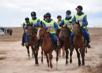 ҰЛЫ ДАЛА ЖОРЫҒЫ: ҚАЗАҚ ЖЫЛҚЫЛАРЫ ӘЛЕМДІК РЕКОРД ОРНАТПАҚ