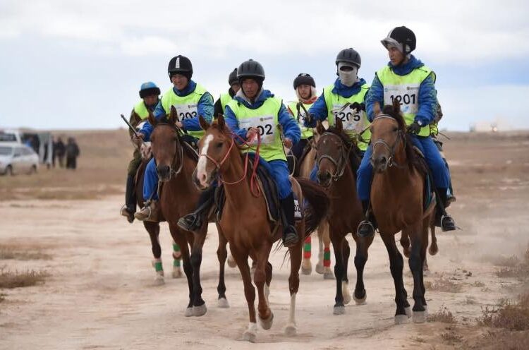 ҰЛЫ ДАЛА ЖОРЫҒЫ: ҚАЗАҚ ЖЫЛҚЫЛАРЫ ӘЛЕМДІК РЕКОРД ОРНАТПАҚ