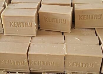 ТҮРКІСТАН: КЕНТАУЛЫҚ ЖАС КӘСІПКЕР МЕМЛЕКЕТТІК ҚОЛДАУМЕН САБЫН ЦЕХЫН АШҚАН