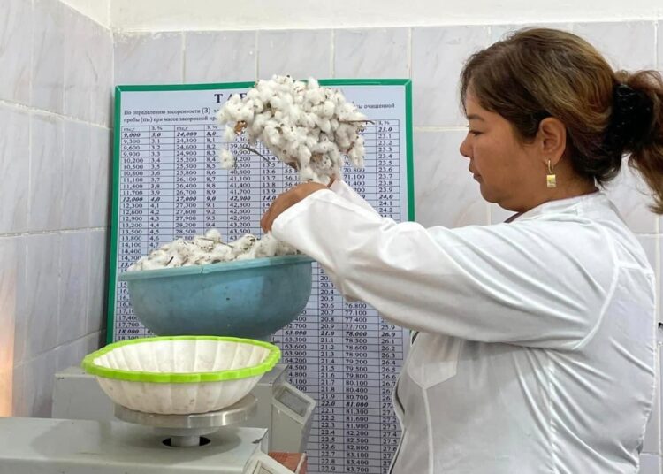 ТҮРКІСТАН: АУЫЛ ШАРУАШЫЛЫҒЫ САЛАСЫНДАҒЫ МӘСЕЛЕЛЕРМЕН АЙНАЛЫСАТЫН МОБИЛЬДІ ТОП ЖҰМЫСЫН БАСТАДЫ