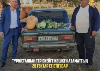 ТҮРКІСТАННАН ТЕРІСКЕЙГЕ КӨШКЕН АЗАМАТТЫҢ 20 ГЕКТАР ЕГІСТІГІ БАР