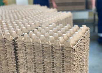 ТҮРКІСТАН: САРЫАҒАШТА ЗАУЫТ ТӘУЛІГІНЕ 35 МЫҢ ДАНА ЖҰМЫРТҚА  ҚОРАБЫН ӨНДІРЕДІ