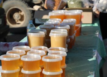 ТҮРКІСТАН: АРЫСТА АУЫЛ ШАРУАШЫЛЫҒЫ ӨНІМДЕРІНІҢ ЖӘРМЕҢКЕСІ ӨТТІ