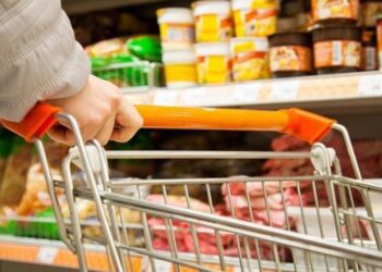 ТҮРКІСТАНДА АЗЫҚ-ТҮЛІК БАҒАСЫНА МОНИТОРИНГ ЖҰМЫСТАРЫ ЖАЛҒАСУДА