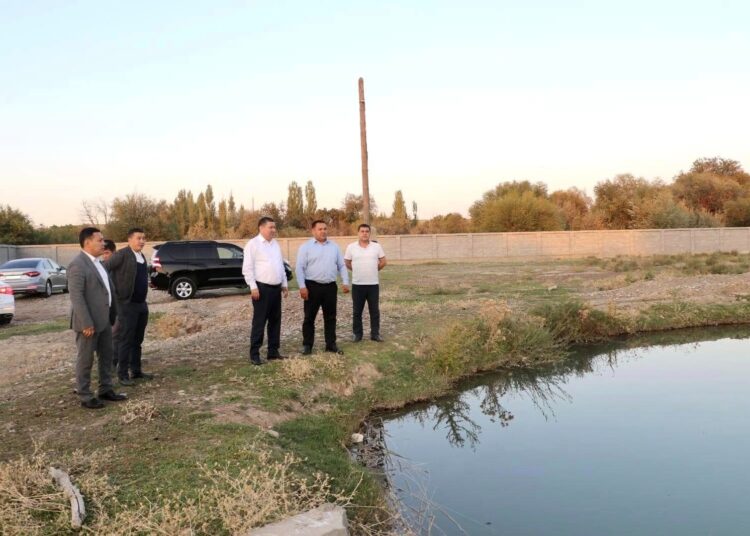 ТҮРКІСТАН: ТҮЛКІБАС АУДАНЫНДА БАЛЫҚ ӨСІРУМЕН АЙНАЛЫСАТЫН ШАРУАШЫЛЫҚ КӨБЕЙДІ