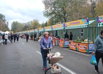 ТҮРКІСТАН: ЖЕТІСАЙ АУДАНЫ АЛМАТЫДАҒЫ ЖӘРМЕҢКЕГЕ 20 ТОННА ӨНІМ ЖӨНЕЛТТІ