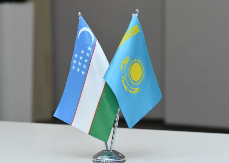 ИНВЕСТОРЛАР ТҮРКІСТАНДА КЕРАМИКАЛЫҚ ӨНІМДЕР ШЫҒАРАДЫ