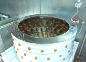 ТҮРКІСТАН: КЕНТАУДА ҚҰС ЦЕХЫ ІСКЕ ҚОСЫЛДЫ