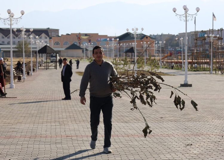 ТҮРКІСТАН: ТӨЛЕБИ АУДАНЫНДАҒЫ САЯБАҚ АУМАҒЫНА 1200 КӨШЕТ ОТЫРҒЫЗЫЛДЫ