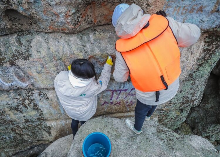 «Вандализмге жол жоқ»: 15 тәулікке дейін қамауға алу жазасы көзделген