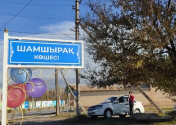 ТҮРКІСТАН: ТҮЛКІБАСТА ТАРИХИ БАСЫЛЫМҒА КӨШЕ АТАУЫ БЕРІЛДІ